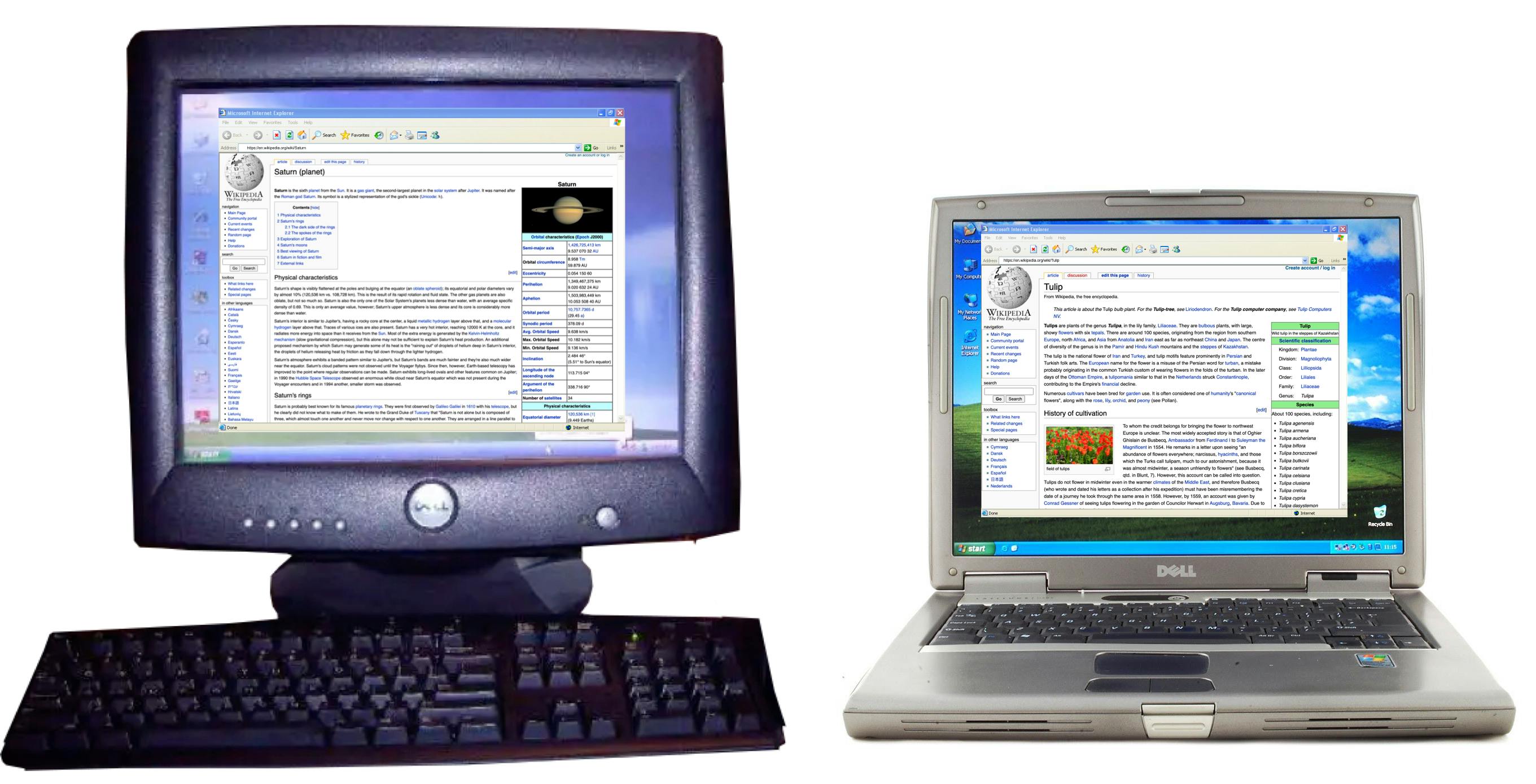 Wikipedia on a Dell desktop and Dell laptop in 2004